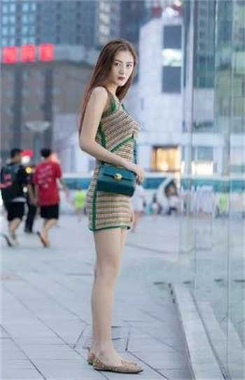 忘忧草jr88