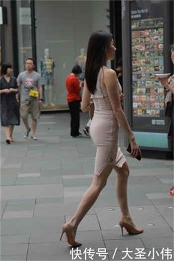 傅先生的白月光
