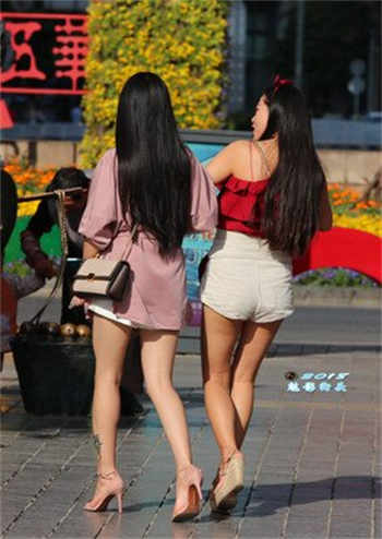 乱世杨家将收母群芳录