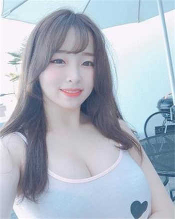 2022软件最新版本