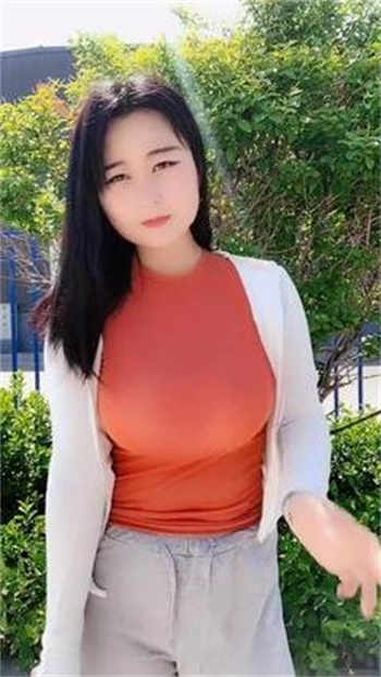 臣服txt四部百度云