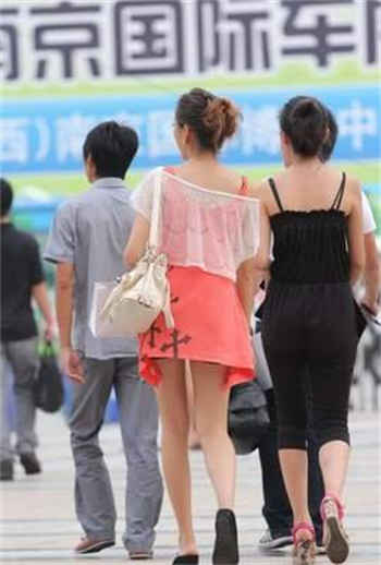 秋末的收获下小豪章