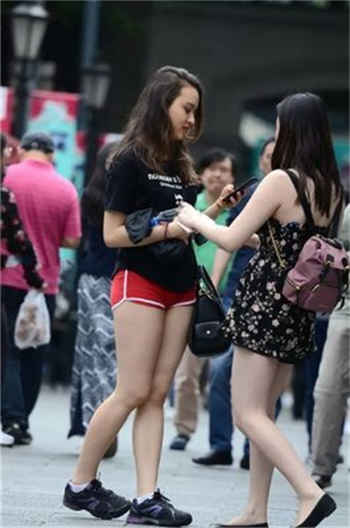 猫爪视频客服怎么查看