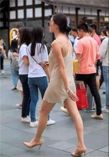 新茶app官方网站进入