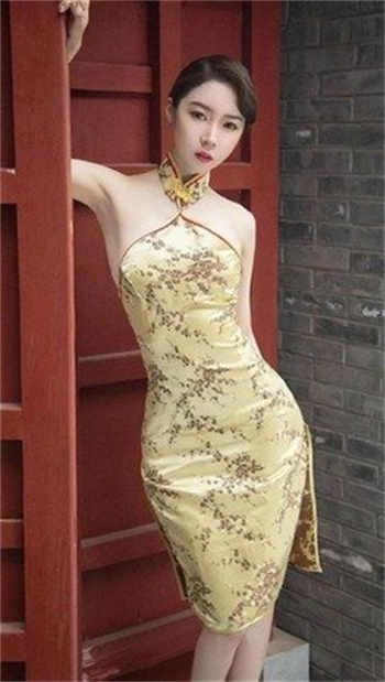 沈樵的15部