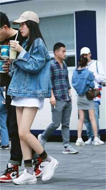 猫咪99永久找到回家的路